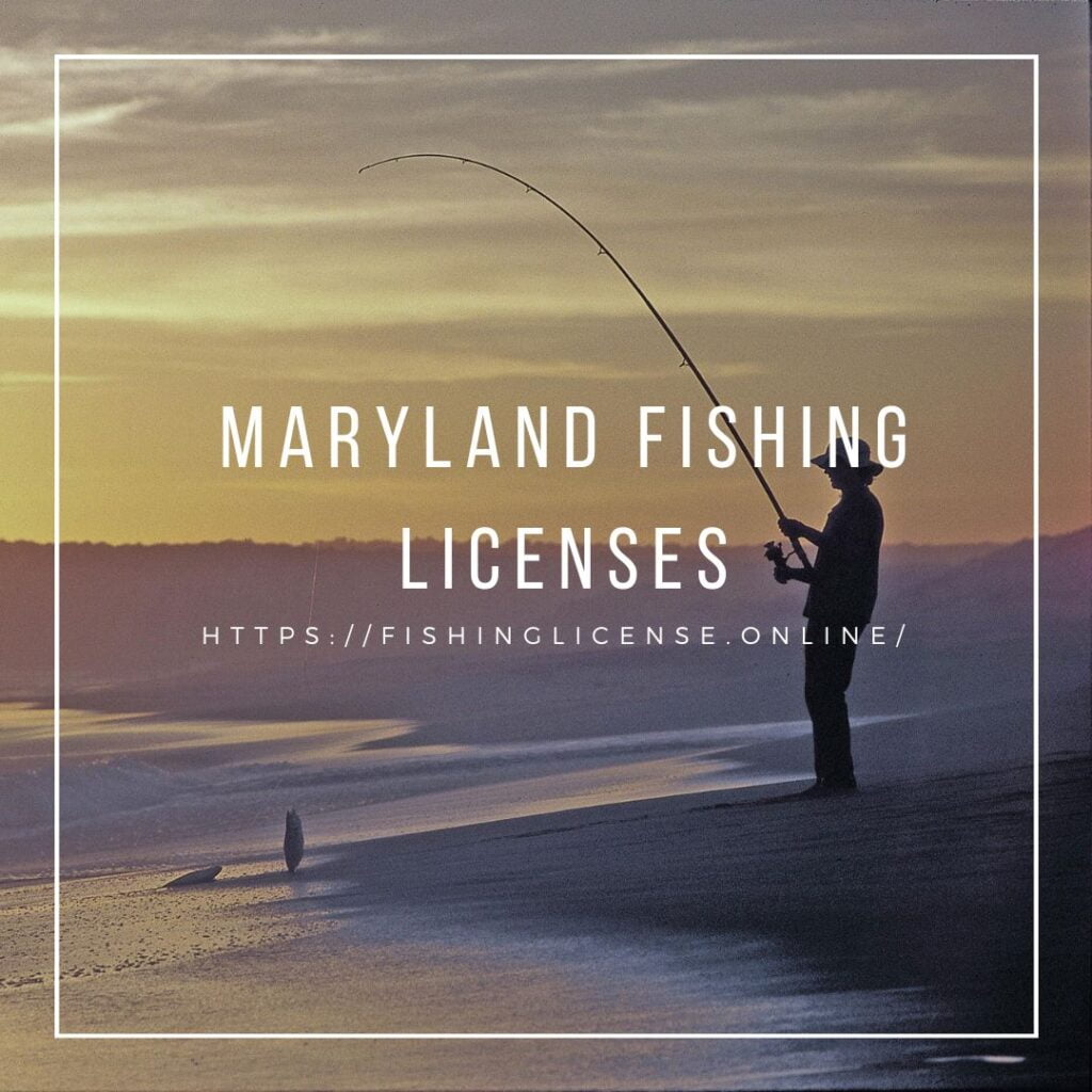 Maryland Fishing Licenses